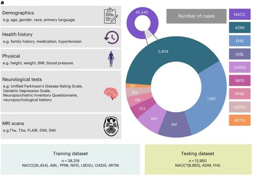 人工智能软件助力失智症诊断 精准快速的新希望