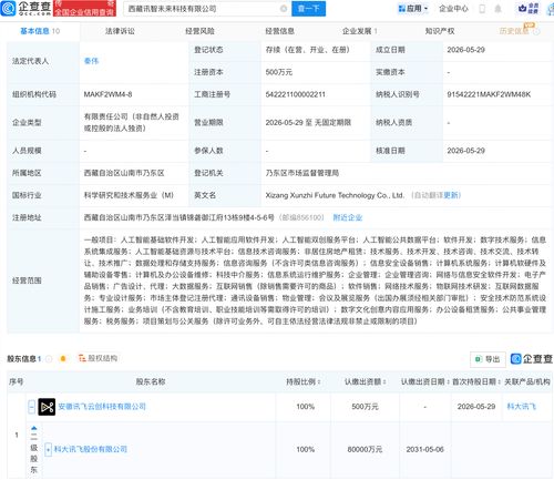 科大讯飞在西藏布局 新公司含多项AI业务，人工智能应用迎来区域新范例